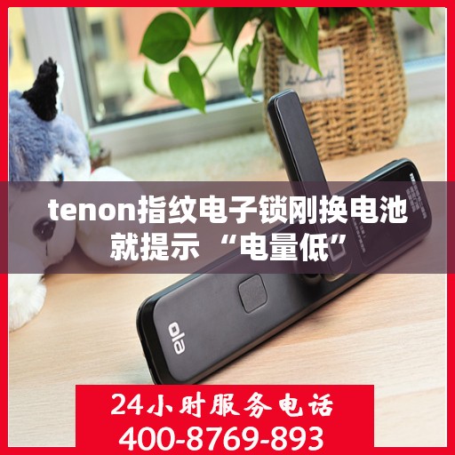 tenon指纹电子锁刚换电池就提示 “电量低”