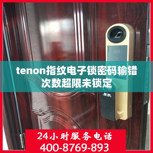 tenon指纹电子锁密码输错次数超限未锁定