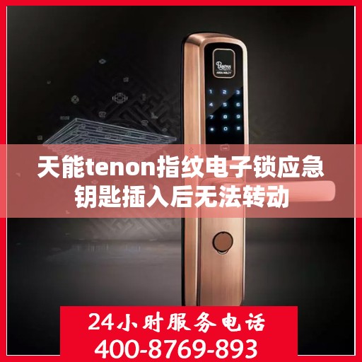 天能tenon指纹电子锁应急钥匙插入后无法转动