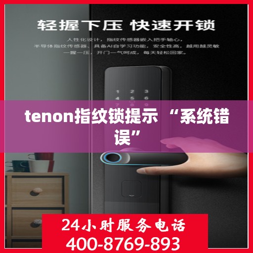 tenon指纹锁提示 “系统错误”