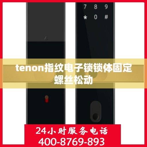 tenon指纹电子锁锁体固定螺丝松动