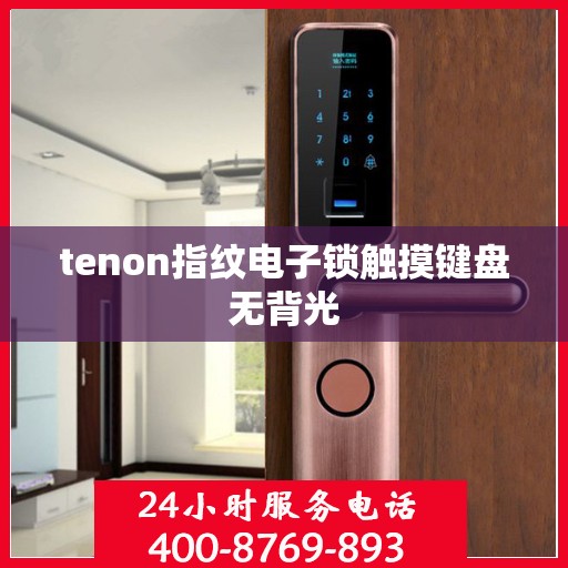 tenon指纹电子锁触摸键盘无背光