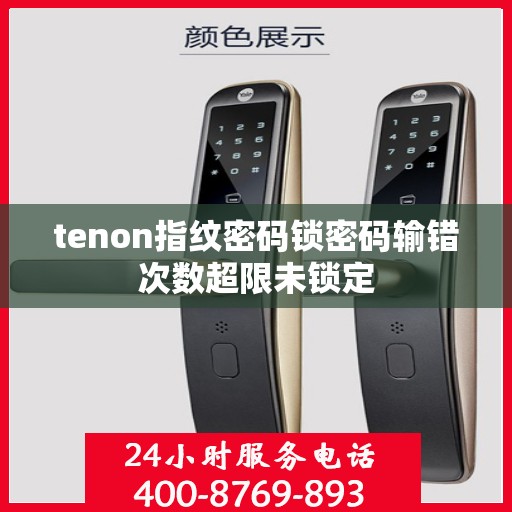 tenon指纹密码锁密码输错次数超限未锁定