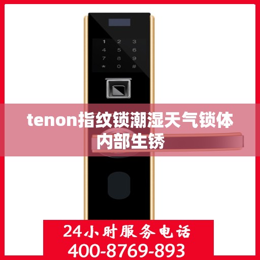tenon指纹锁潮湿天气锁体内部生锈