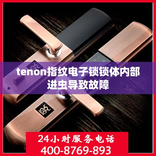 tenon指纹电子锁锁体内部进虫导致故障