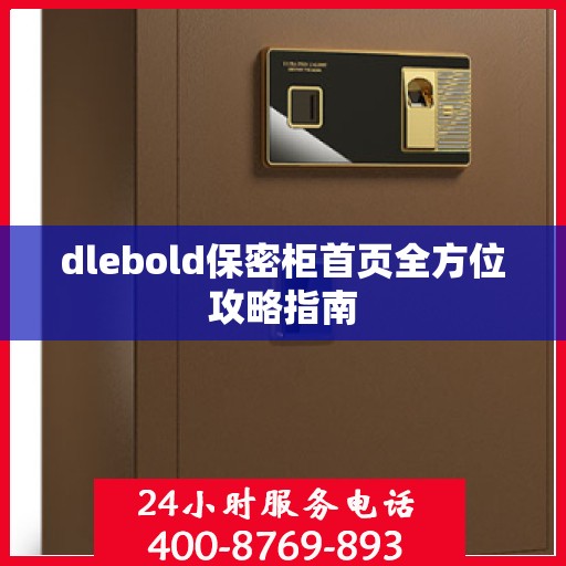 dlebold保密柜首页全方位攻略指南