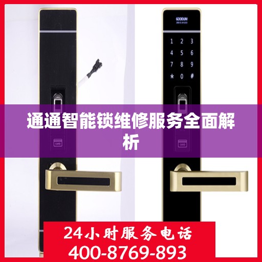 通通智能锁维修服务全面解析
