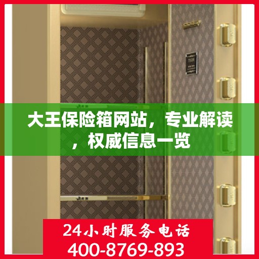 大王保险箱网站，专业解读，权威信息一览