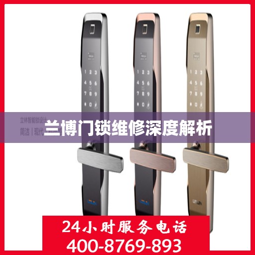 兰博门锁维修深度解析