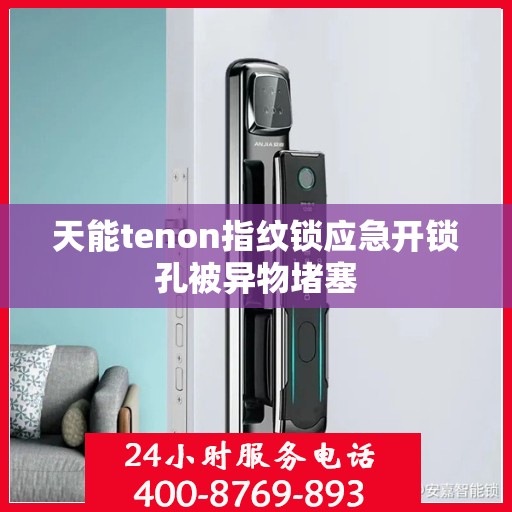 天能tenon指纹锁应急开锁孔被异物堵塞
