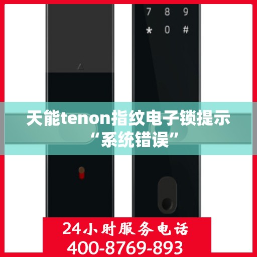 天能tenon指纹电子锁提示 “系统错误”
