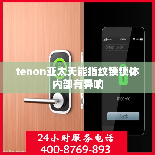 tenon亚太天能指纹锁锁体内部有异响
