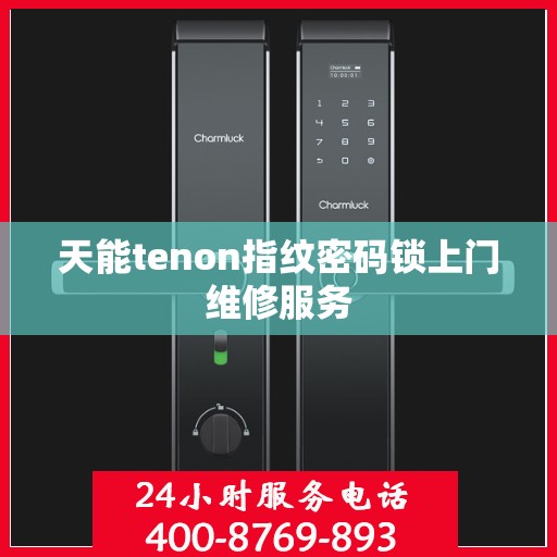 天能tenon指纹密码锁上门维修服务