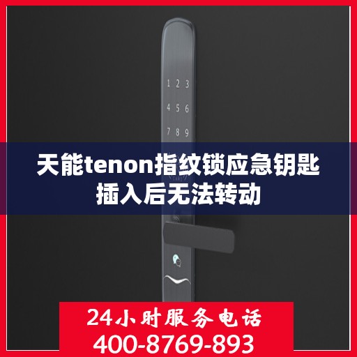 天能tenon指纹锁应急钥匙插入后无法转动