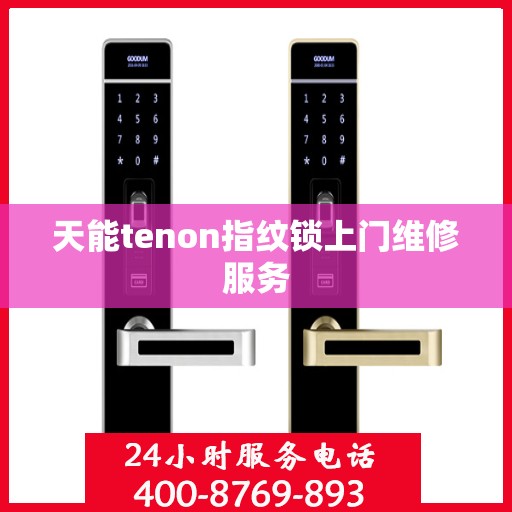 天能tenon指纹锁上门维修服务