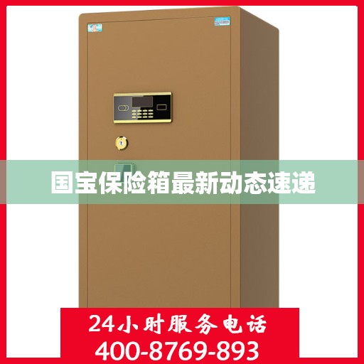 国宝保险箱最新动态速递
