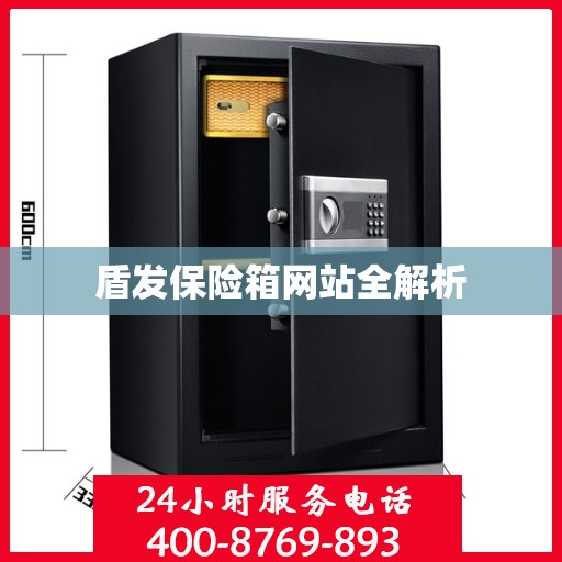 盾发保险箱网站全解析