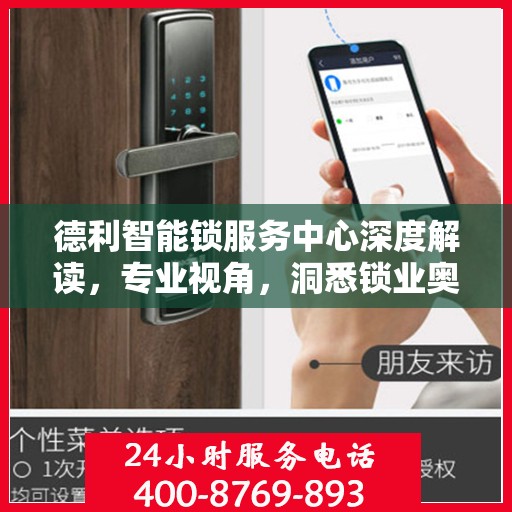 德利智能锁服务中心深度解读，专业视角，洞悉锁业奥秘