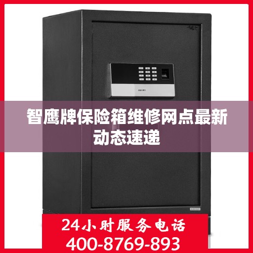 智鹰牌保险箱维修网点最新动态速递