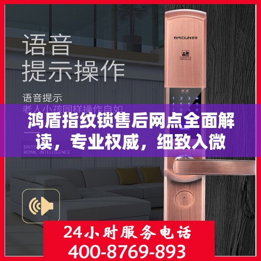 鸿盾指纹锁售后网点全面解读，专业权威，细致入微