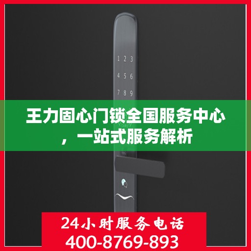 王力固心门锁全国服务中心，一站式服务解析