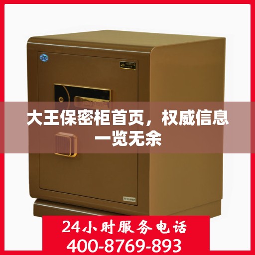 大王保密柜首页，权威信息一览无余