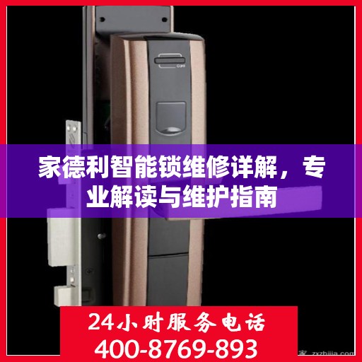 家德利智能锁维修详解，专业解读与维护指南