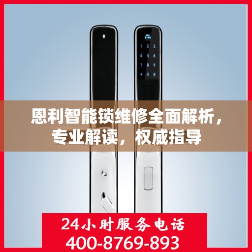 恩利智能锁维修全面解析，专业解读，权威指导