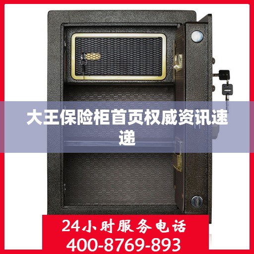 大王保险柜首页权威资讯速递