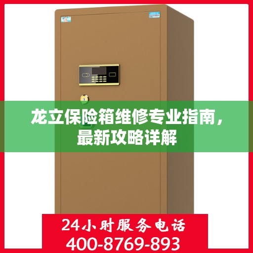 龙立保险箱维修专业指南，最新攻略详解