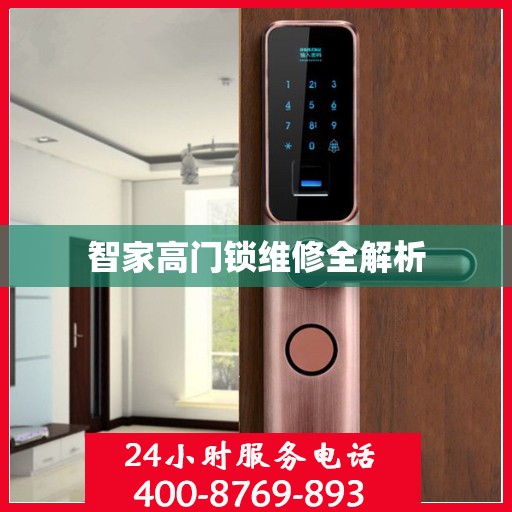 智家高门锁维修全解析