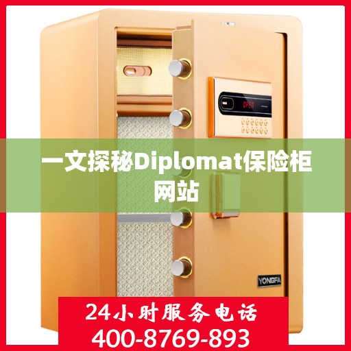 一文探秘Diplomat保险柜网站