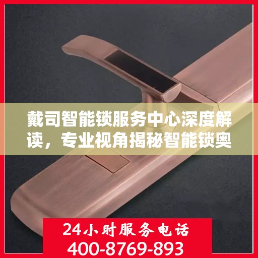 戴司智能锁服务中心深度解读，专业视角揭秘智能锁奥秘