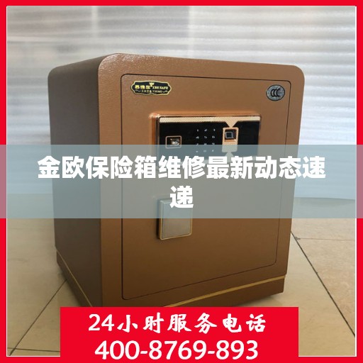 金欧保险箱维修最新动态速递