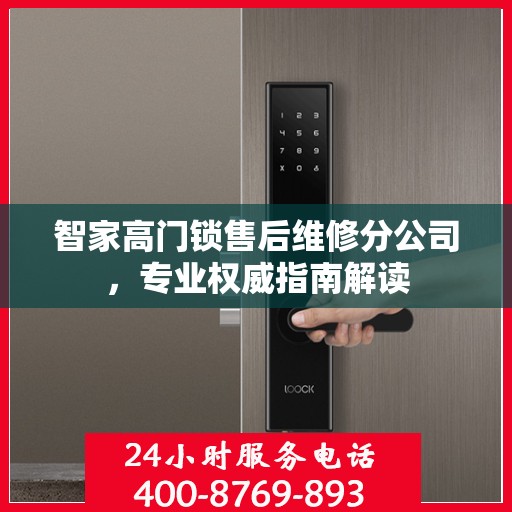 智家高门锁售后维修分公司，专业权威指南解读