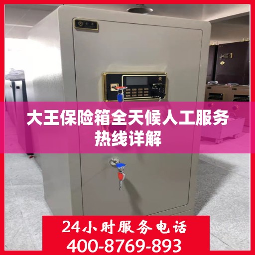 大王保险箱全天候人工服务热线详解