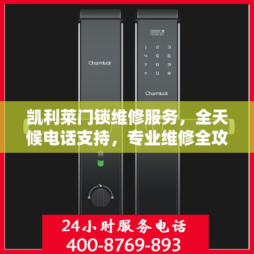 凯利莱门锁维修服务，全天候电话支持，专业维修全攻略