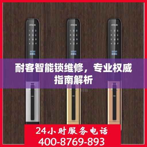 耐客智能锁维修，专业权威指南解析