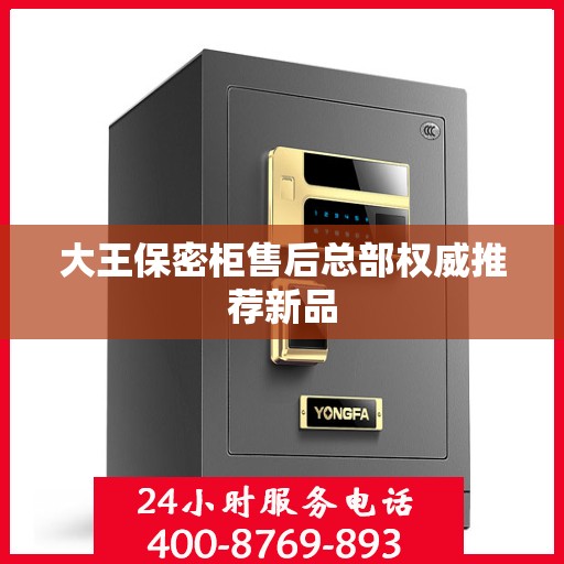 大王保密柜售后总部权威推荐新品