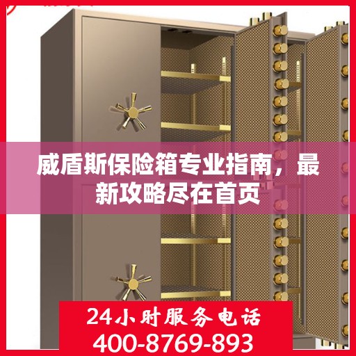 威盾斯保险箱专业指南，最新攻略尽在首页