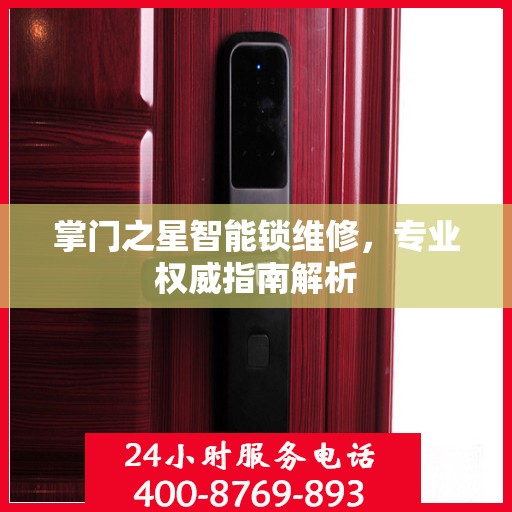 掌门之星智能锁维修，专业权威指南解析