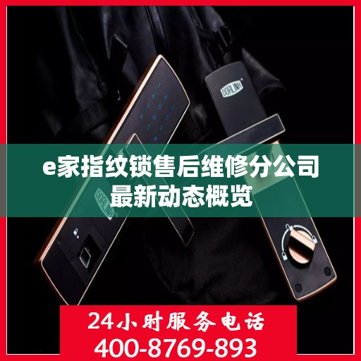 e家指纹锁售后维修分公司最新动态概览