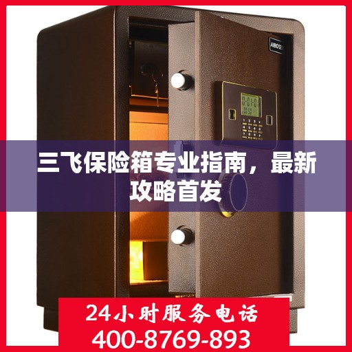 三飞保险箱专业指南，最新攻略首发