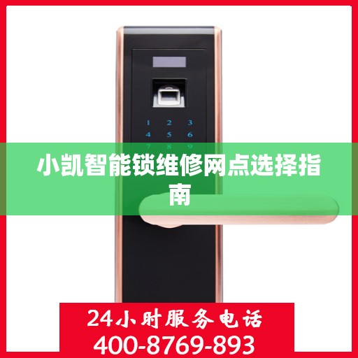 小凯智能锁维修网点选择指南