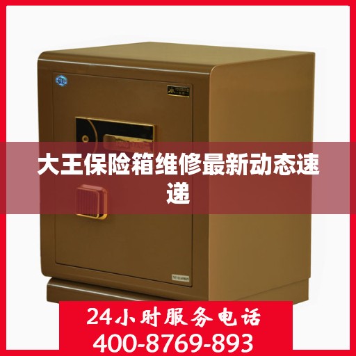 大王保险箱维修最新动态速递