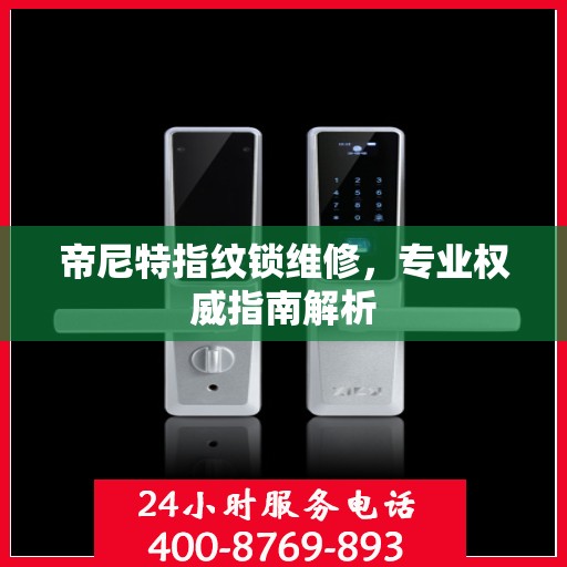 帝尼特指纹锁维修，专业权威指南解析
