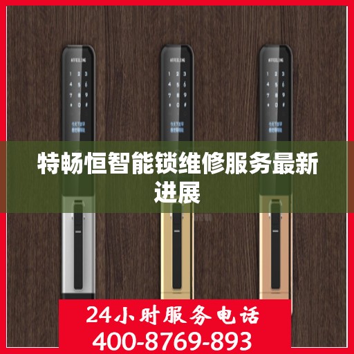 特畅恒智能锁维修服务最新进展