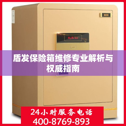 盾发保险箱维修专业解析与权威指南
