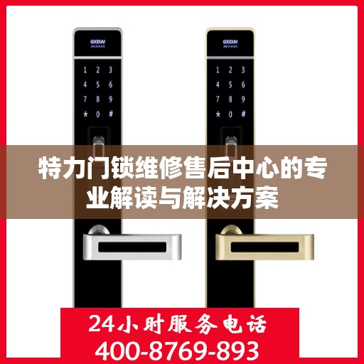 特力门锁维修售后中心的专业解读与解决方案