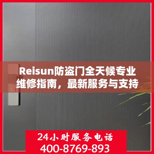 Reisun防盗门全天候专业维修指南，最新服务与支持概览